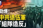 香港希望之聲