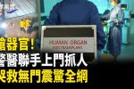香港希望之聲