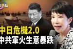 香港希望之聲