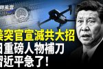 香港希望之聲