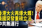 香港希望之聲