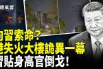 香港希望之聲