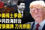 香港希望之聲