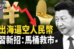 香港希望之聲