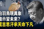 香港希望之聲