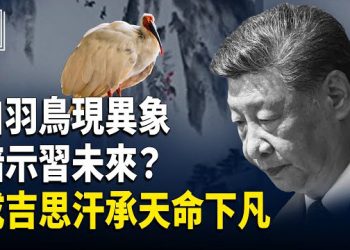 【時事解碼】白羽之鳥現異象？從“平平”看習近平未來走向；真人丘處機透天機，成吉思汗承天命下凡 主播：張恩、文傑  
