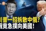 香港希望之聲