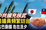 香港希望之聲