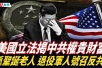 香港希望之聲