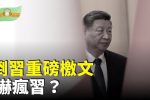 香港希望之聲
