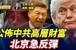 香港希望之聲