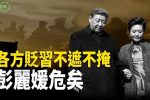 香港希望之聲