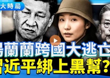 中共黑幫頭子雇澳洲黑幫律師？楊蘭蘭跨國大撤離全過程曝光！