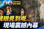 香港希望之聲 香港希望之聲