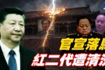 香港希望之聲 香港希望之聲
