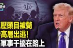 香港希望之聲