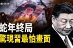 香港希望之聲