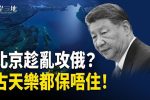 香港希望之聲