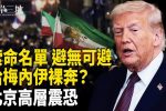 香港希望之聲