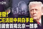 香港希望之聲