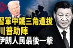 香港希望之聲