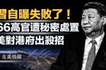 香港希望之聲