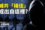 香港希望之聲