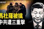 香港希望之聲