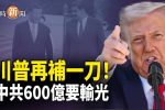 香港希望之聲