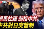 香港希望之聲