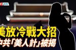 香港希望之聲