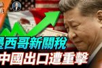 香港希望之聲
