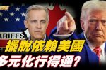 香港希望之聲