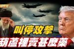 香港希望之聲