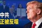 香港希望之聲