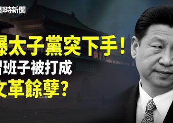 【即時新聞】習處境突變！驚爆劉源、鄧樸方家族聯手 二十一大狙擊習連任！再嚴厲話：習班子蔡奇、趙樂際、李希都是四人幫遺毒