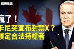 香港希望之聲