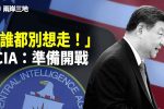 香港希望之聲