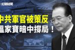 香港希望之聲