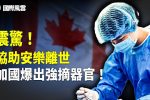 香港希望之聲