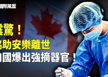 【國際風雲】加國突驚爆活摘！墨西哥毒梟被除掀翻中共 習或焦慮成瘋；內部文件：歐盟準備對中共下重手 「收回港口」 