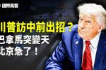 香港希望之聲