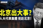 香港希望之聲
