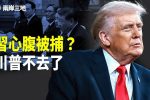 香港希望之聲