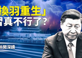 【新聞深讀】張又俠被捉後軍方反常：軍報拋出「換羽重生」怪詞，何衛東疑亡，全軍卻集體沉默｜真正信號是什麼？ 主播：婉兒