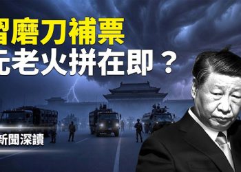 【新聞深讀】人大常委會突開一天會議：只審「代表資格」，實為替張又俠補程序？反習派最後窗口期正在消失 主播：郭婷