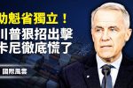 香港希望之聲