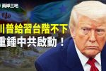 香港希望之聲