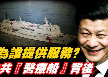 獨家爆料：中共「醫療船」巡航海外的真正目的｜美印達成貿易協議，斷俄羅斯金援｜傳習近平偷運黃金到俄羅斯 搵後路？  嘉賓：石頭【頭頭是道】【Nina面對面EP371】02/03/2026