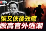 香港希望之聲 香港希望之聲